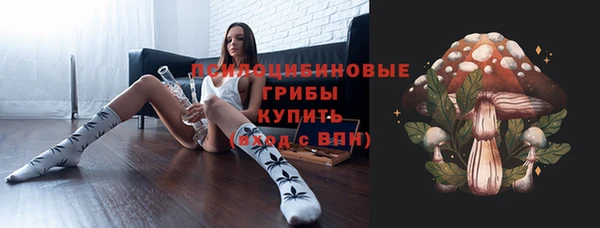 мяу мяу мука Арсеньев