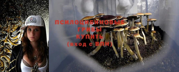 эйфоретик Армянск